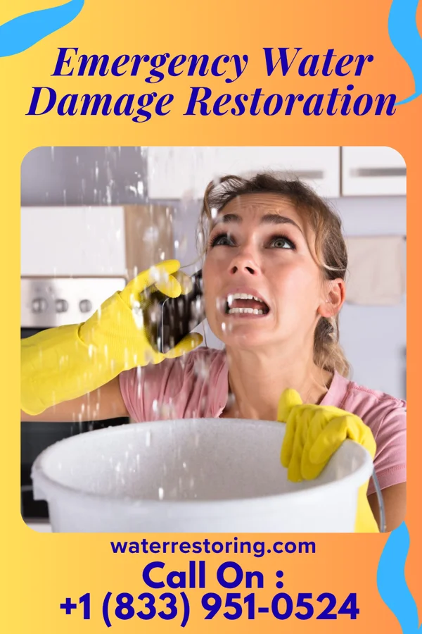 Emergency Water Damage Restoration in Glenwood, GA