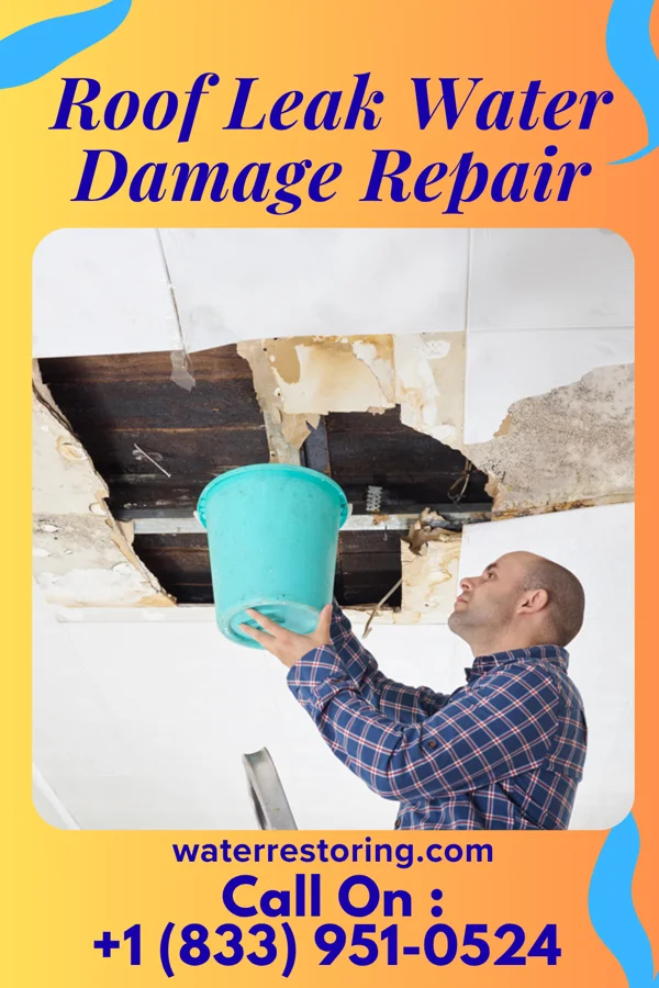 Roof Leak Water Damage Repair in Glenwood, GA